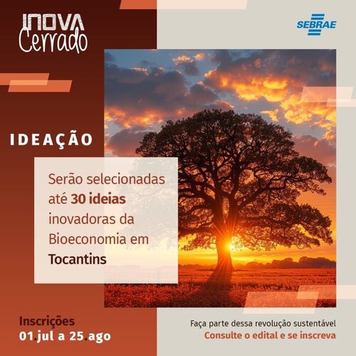 Sebrae anuncia edital para apoiar negócios da bioeconomia no Cerrado em fase de ideação