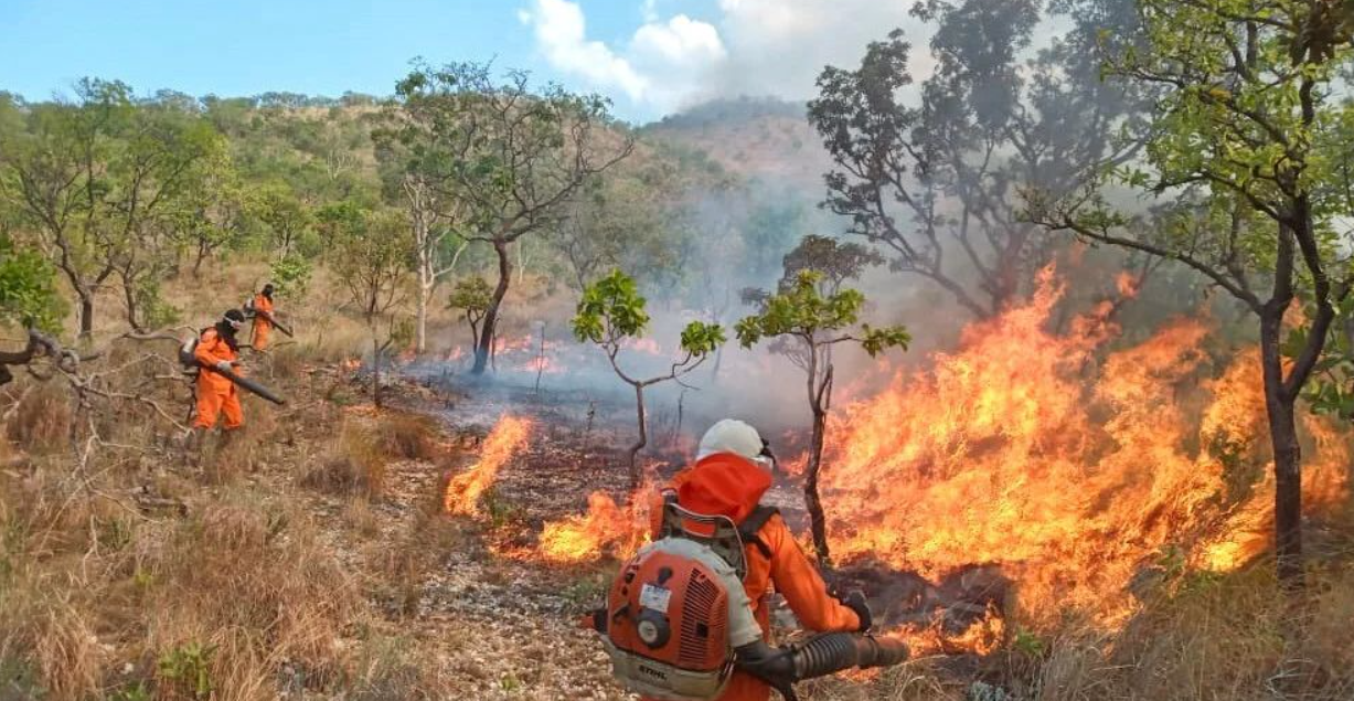 Aproest alerta para os riscos do fogo na agricultura e na pecuária