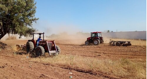 Prefeitura de Gurupi intensifica mutirões de limpeza nos bairros