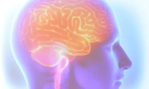 AVC mata uma pessoa a cada seis minutos no Brasil